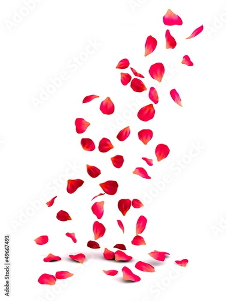 Obraz Spadające płatki róż
