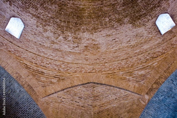 Obraz Locust-like multiplicative arch