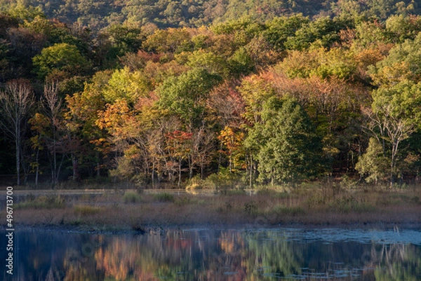 Obraz 観音沼森林公園・紅葉