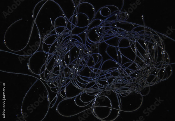 Obraz abstract background