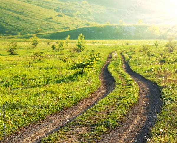 Fototapeta Road in field