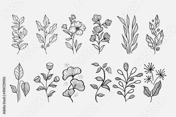 Fototapeta Hand drawn vector design floral elements