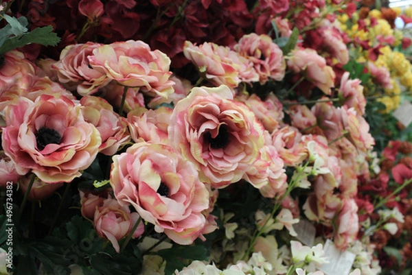 Fototapeta a showcase with flowers in the greenhouse of a store for a garden with decorative rose plants
