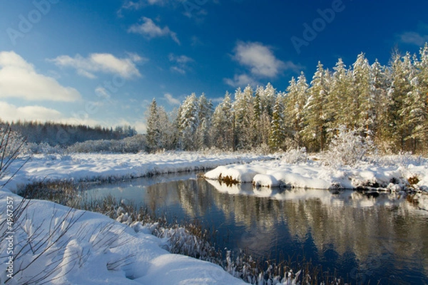 Fototapeta Winter landscape