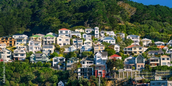 Obraz Daytime view of a large number of houses clustered on the slopes of Mount Victoria, Wellington. Wellington is the capital of New Zealand.