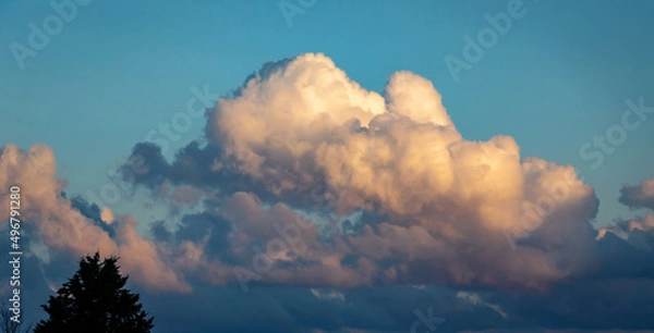 Obraz White cloud at daybreak