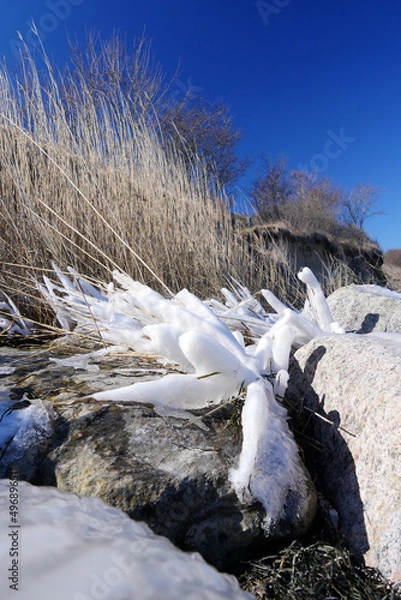 Fototapeta Snow covered grass on a beach