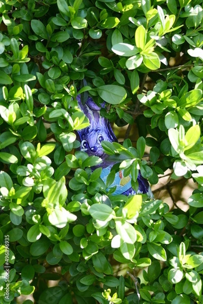 Fototapeta Osterhase im Buchsbaum