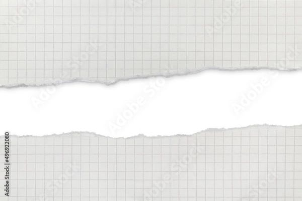 Fototapeta background from paper to cell with copy space