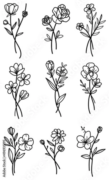 Fototapeta Selection of flower stems poppy rose daisy line art editable outline vector svg