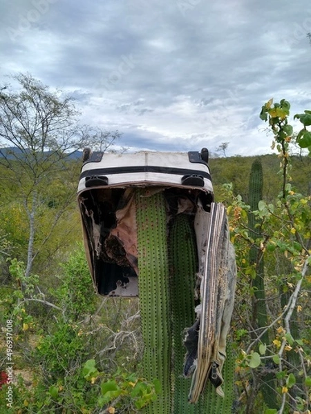 Obraz Equipaje olvidado