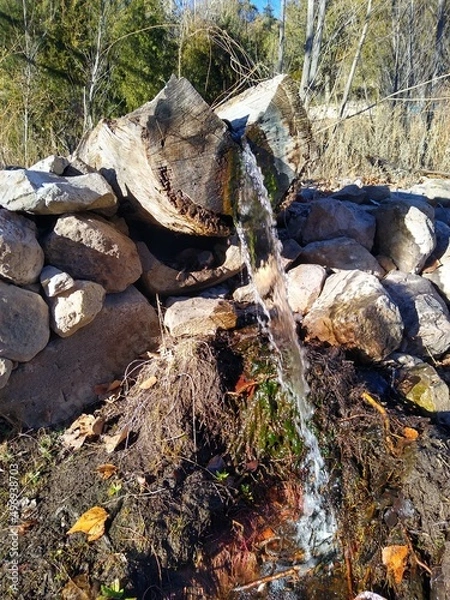 Obraz Ojo de agua