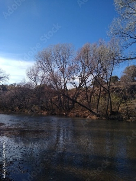Obraz Rio en Palanganas