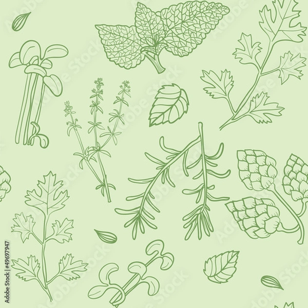 Fototapeta Seamless pattern with herbs