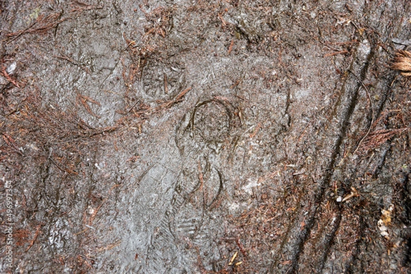 Obraz 土・泥・大地・地面・足跡・痕跡・どろどろ・滑る・雨上がり・ぬかるみ・アップ