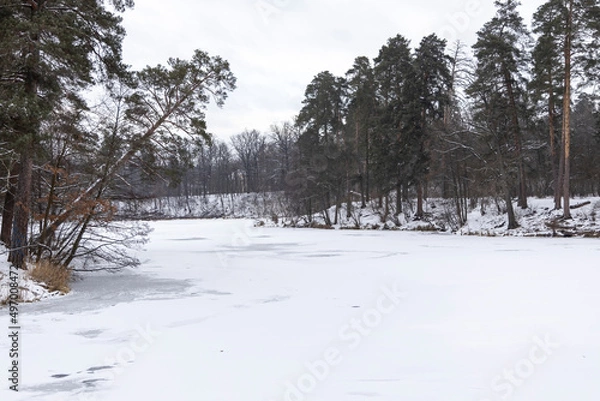 Obraz Winter landscape in the forest.