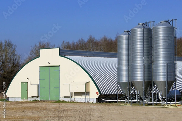 Obraz hangar pour élevage de poulets