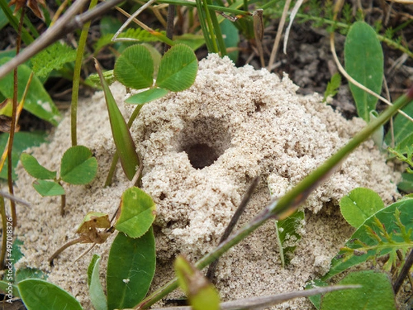 Obraz A hole in the ground