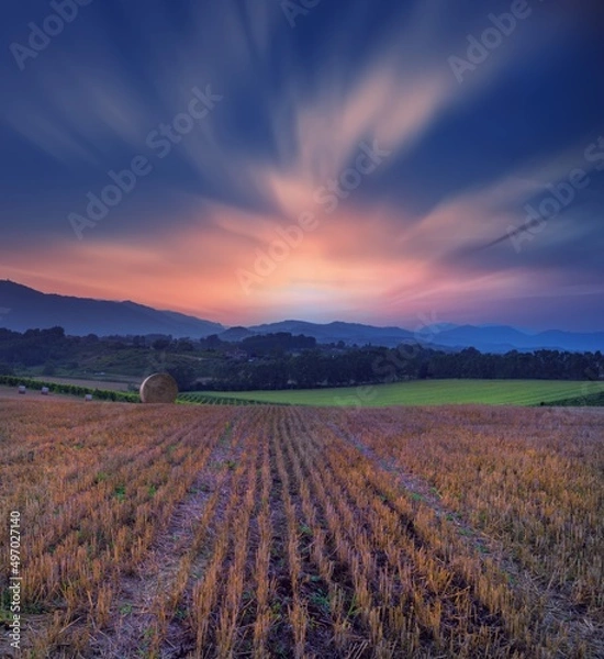 Fototapeta Tramonto dai campi