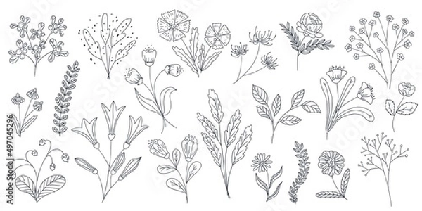 Fototapeta Big vector set of hand drawn flowers with leaves and branches, floral sketch collection. Wildflowers in line art.