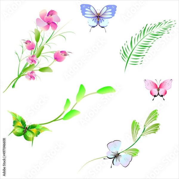 Obraz beautiful flowers