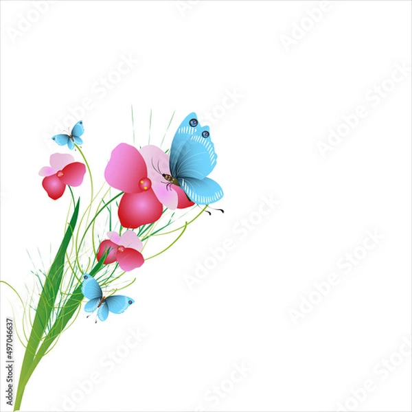 Obraz beautiful flowers