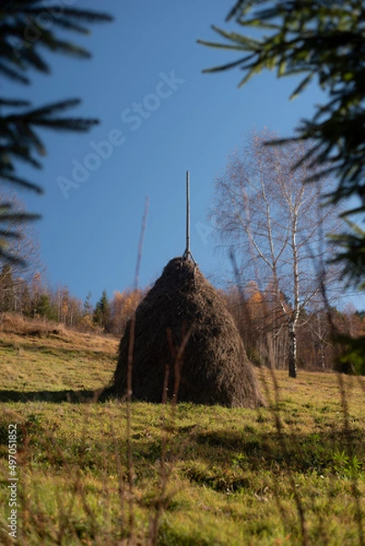 Fototapeta Amazing view on stock of hay on a lovely autumn day in the mountains