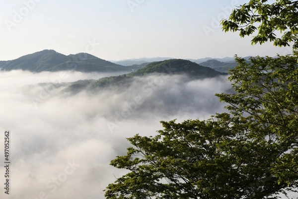 Fototapeta Sea of clouds in early morning