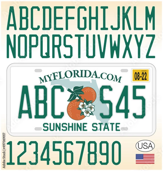Fototapeta Florida License car plate pattern design, with numbers, letters and symbols, United States of America, vector illustration
