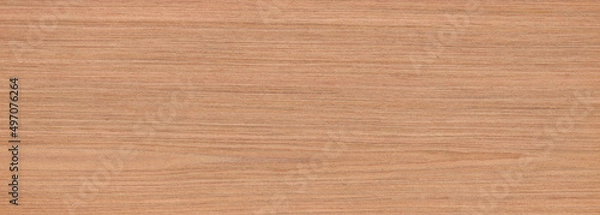 Obraz Rovere Oak top view wooden wall material burr surface texture background Pattern brown color build construction architect interior
