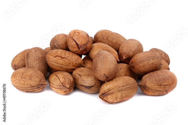 Obraz pecan
