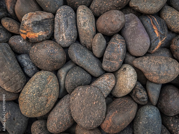 Obraz Brown round pebbles with strange patterns.