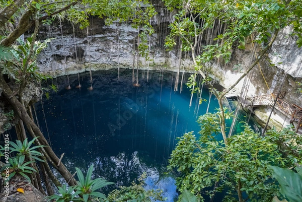 Fototapeta Open Cenote Surrounded with Green Jungle