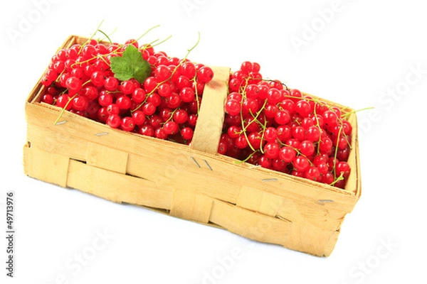 Obraz Rote Johannisbeeren