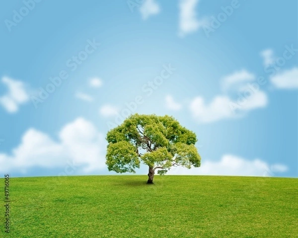 Fototapeta 環境イメージ