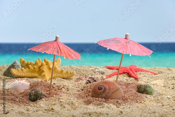 Obraz Nautilus sea shell catching shadow