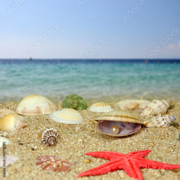 Obraz Sea shells and pearls