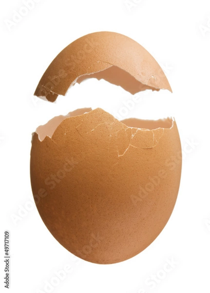 Fototapeta Eggshell isolated on white background