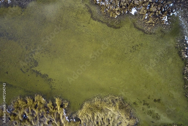 Obraz water surface of the lake and reeds top view background backdrop