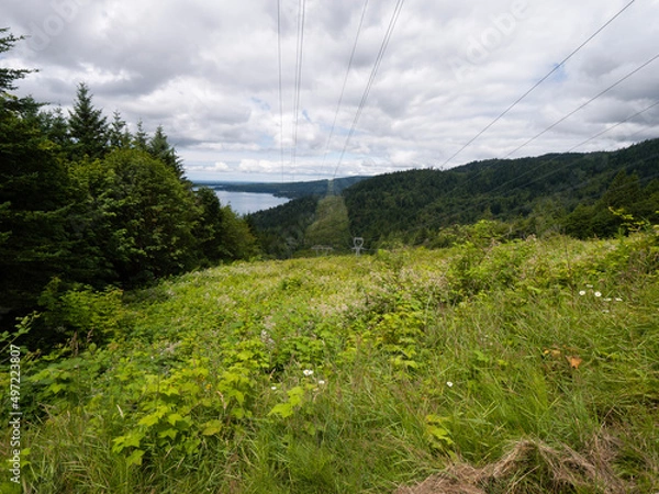 Obraz landscape in the mountains