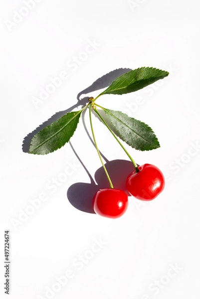 Fototapeta two red fresh cherries on a branch with leaves on a light background