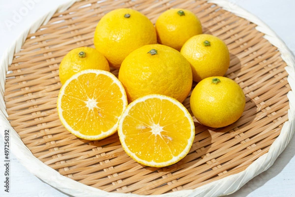 Obraz 湘南ゴールド（神奈川県産、黄金柑（ゴールデンオレンジ）’と温州みかん‘今村温州’の交配種）