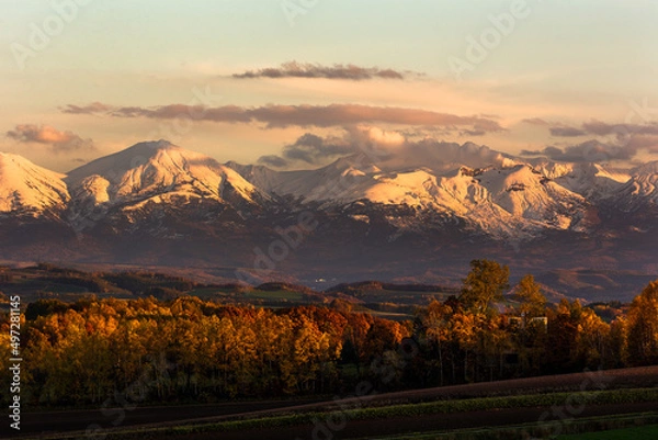 Obraz 北海道美瑛、雪化粧した夕暮れの大雪山国立公園