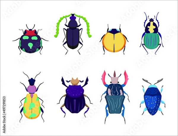 Fototapeta Set of bright beetles. Collection of insects