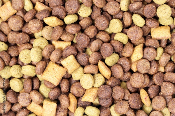 Obraz Dog food (Texture)