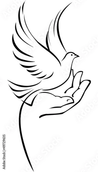 Fototapeta Gołąb pod ręką