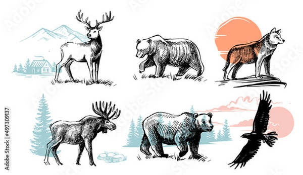 Obraz Wild animals drawing. Wolf deer and bear