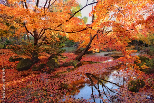 Obraz 真鍋庭園の紅葉