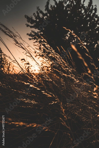 Obraz look to sunset