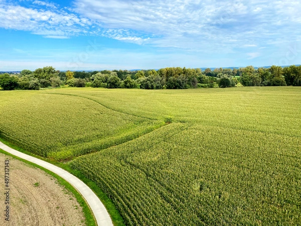 Obraz Meandry Odry (Oder) in Chalupki